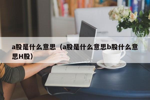 a股是什么意思（a股是什么意思b股什么意思H股）