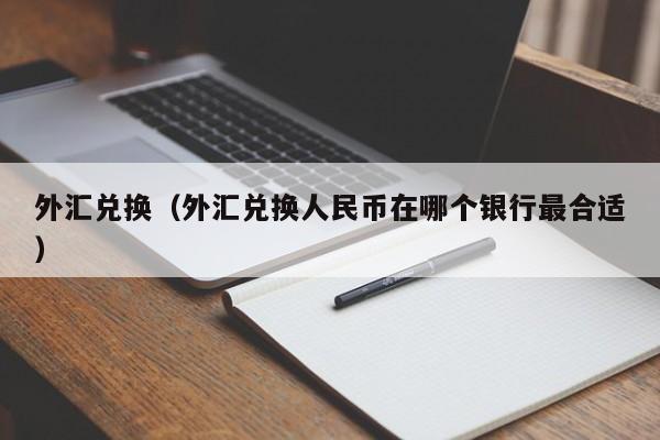 外汇兑换（外汇兑换人民币在哪个银行最合适）