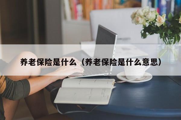 养老保险是什么（养老保险是什么意思）