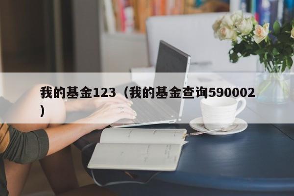 我的基金123（我的基金查询590002）