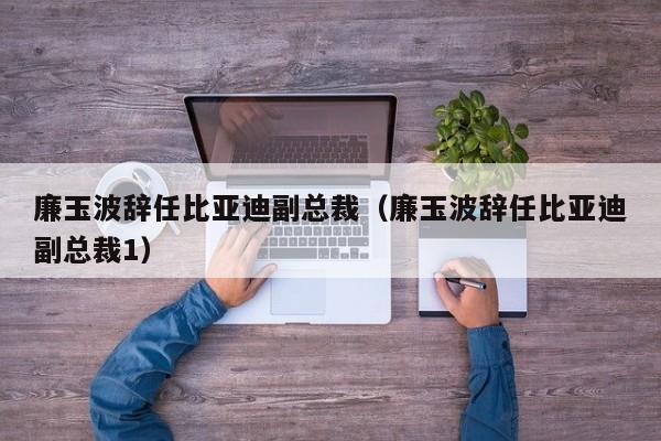 廉玉波辞任比亚迪副总裁（廉玉波辞任比亚迪副总裁1）