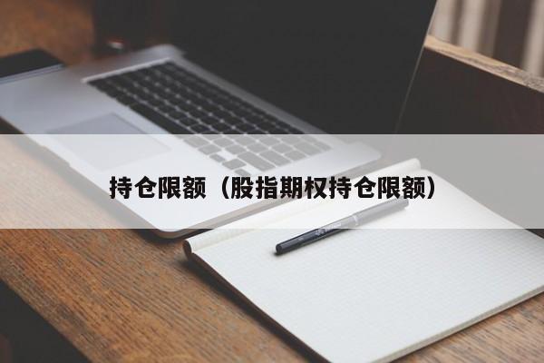 持仓限额（股指期权持仓限额）