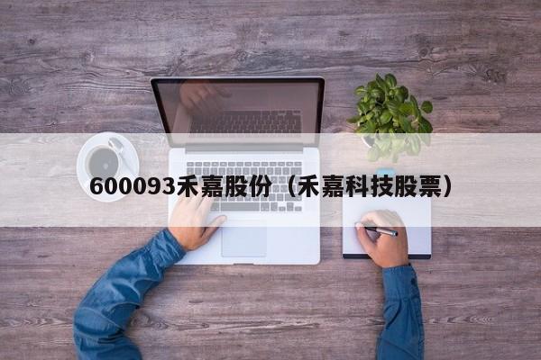 600093禾嘉股份（禾嘉科技股票）