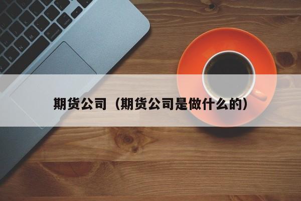 期货公司（期货公司是做什么的）