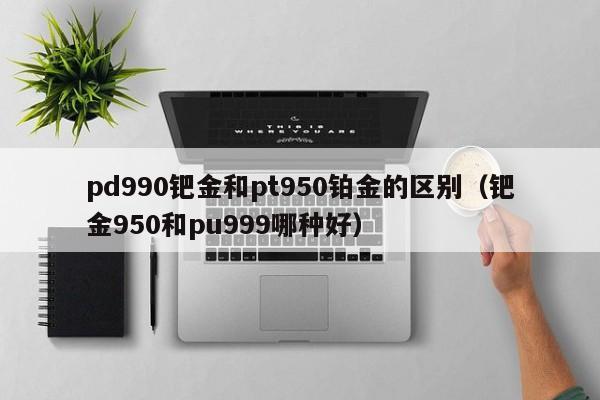 pd990钯金和pt950铂金的区别（钯金950和pu999哪种好）