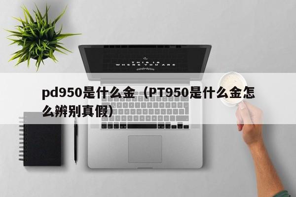 pd950是什么金（PT950是什么金怎么辨别真假）