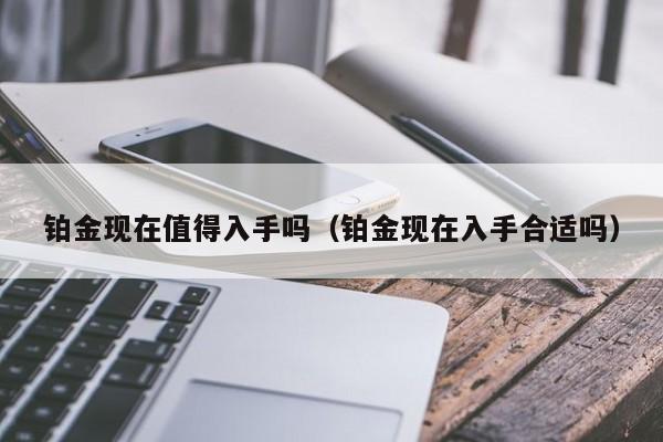 铂金现在值得入手吗（铂金现在入手合适吗）