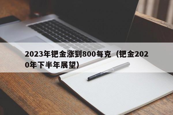 2023年钯金涨到800每克（钯金2020年下半年展望）